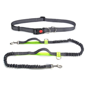 Handsfree Elastic Bungee Dog Leash - MekMart