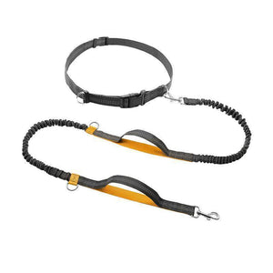 Handsfree Elastic Bungee Dog Leash - MekMart