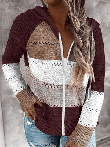 Hollow Out Knitted Hooded Sweater