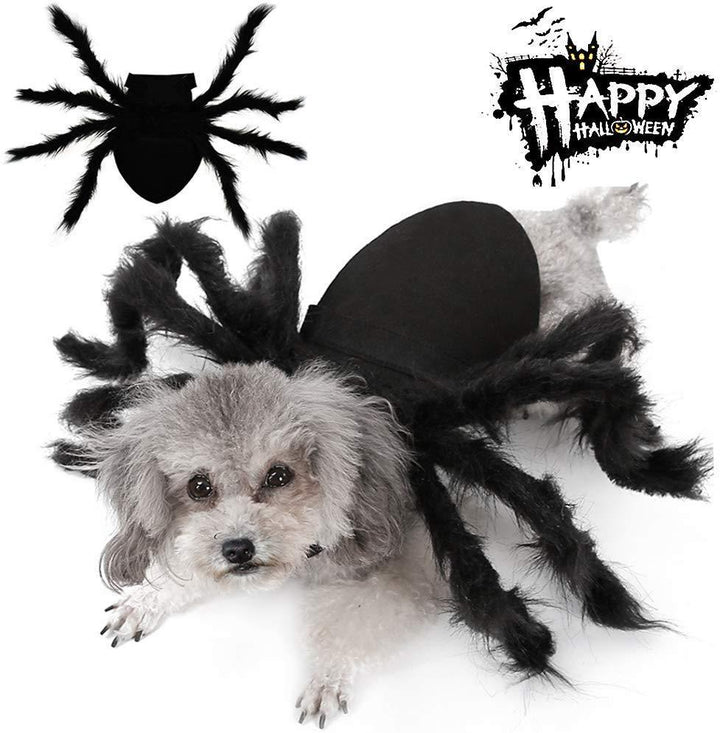 Spider Costume for Dogs and Cats，Halloween Party Dress Up - MekMart