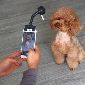 Hirundo Lovely Pet Selfie Stick - MekMart