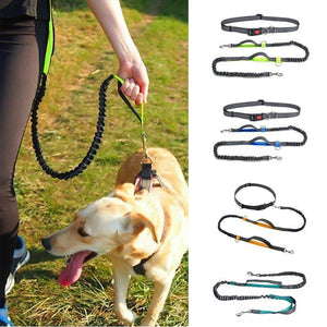 Handsfree Elastic Bungee Dog Leash - MekMart