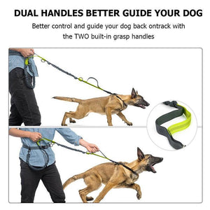 Handsfree Elastic Bungee Dog Leash - MekMart