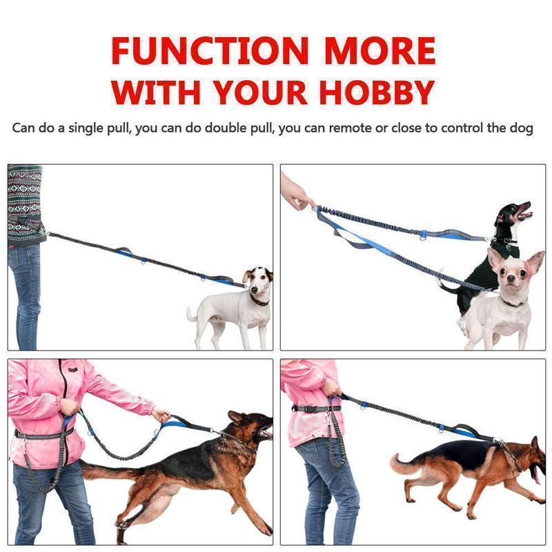 Handsfree Elastic Bungee Dog Leash - MekMart