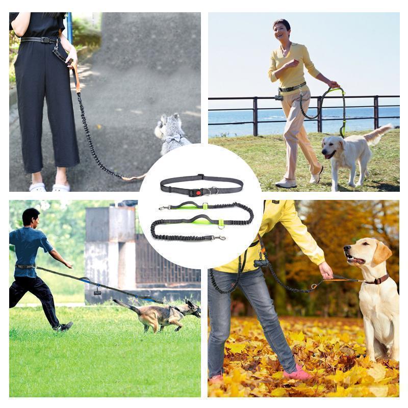 Handsfree Elastic Bungee Dog Leash - MekMart