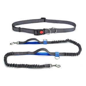 Handsfree Elastic Bungee Dog Leash - MekMart